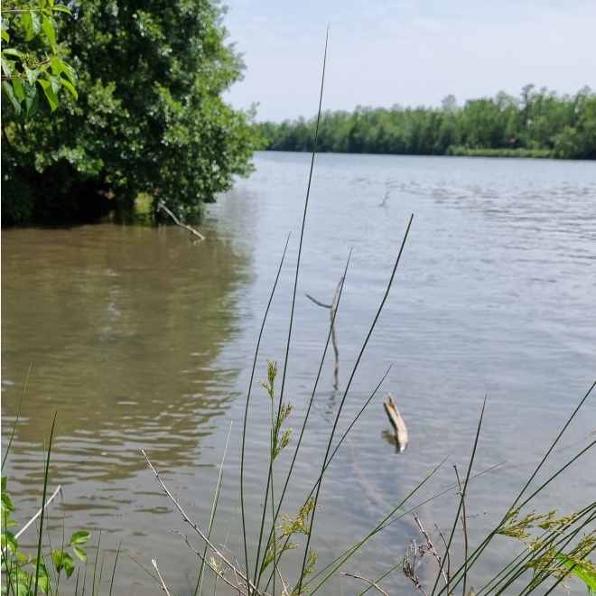 Ömer Murinsel (max. 4 Angler)