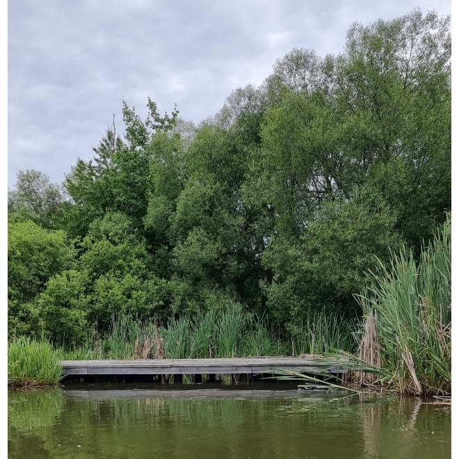 W1 Steg vom Wasser