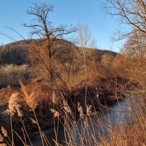 Ömer Murinsel (max. 4 Angler)
